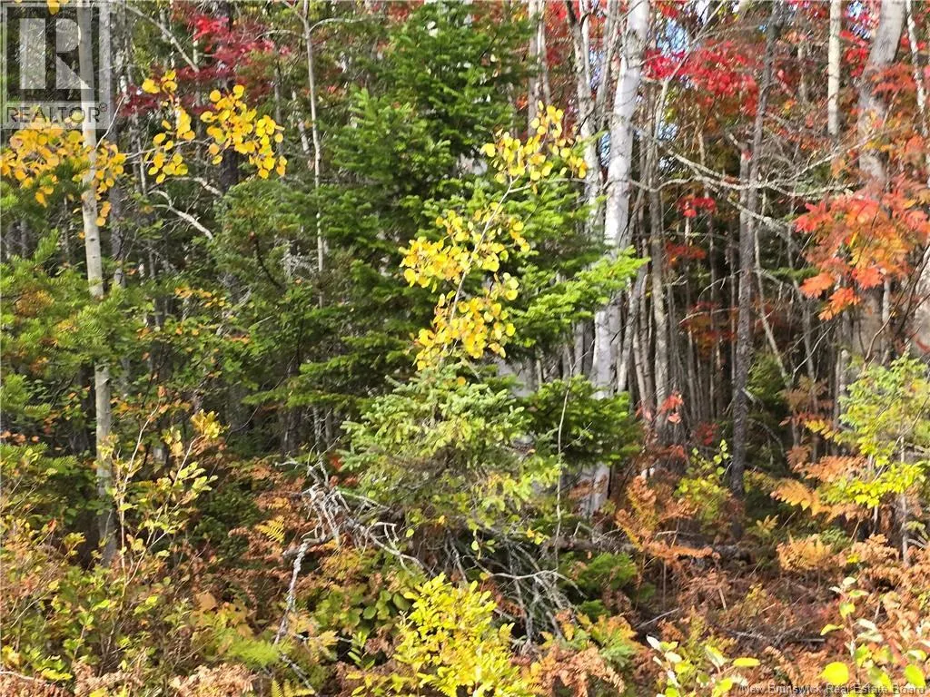 37 acres Route 113