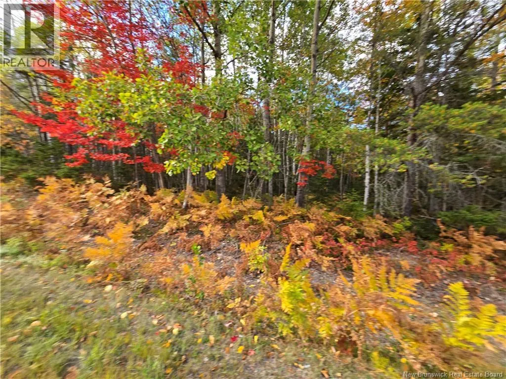 37 acres Route 113