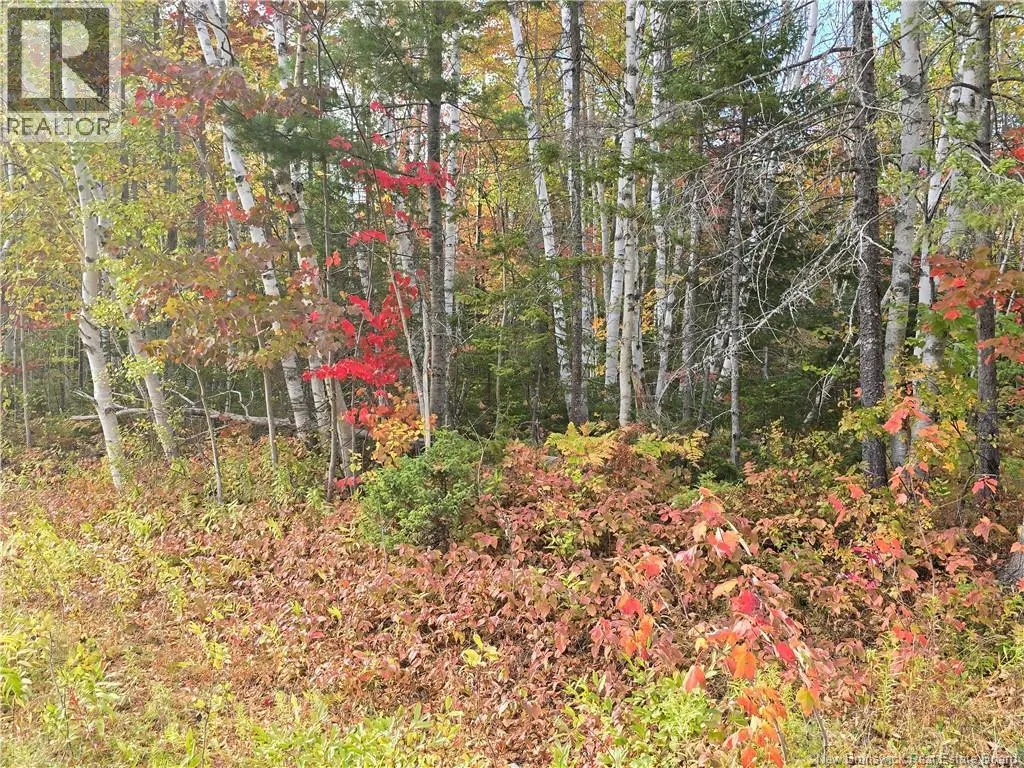 21.7 acre Route 113