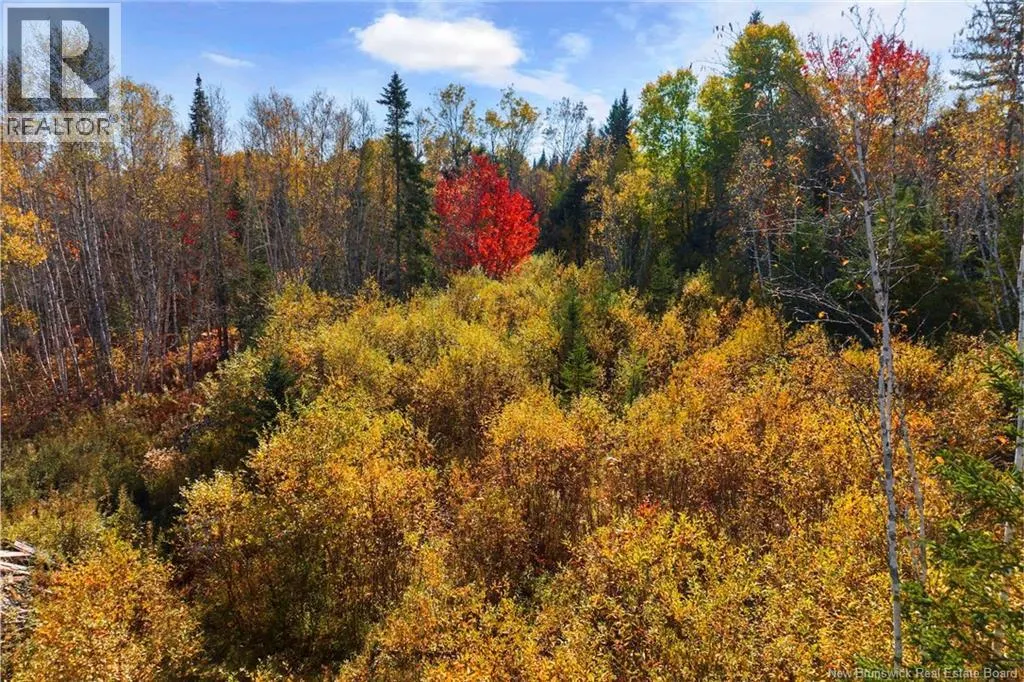 LOT 99-1 Eniskillen Road