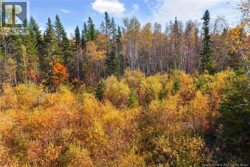 LOT 99-1 Eniskillen Road