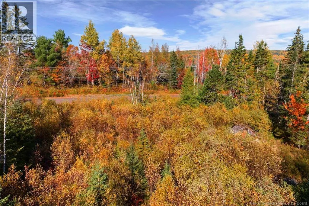 LOT 99-1 Eniskillen Road