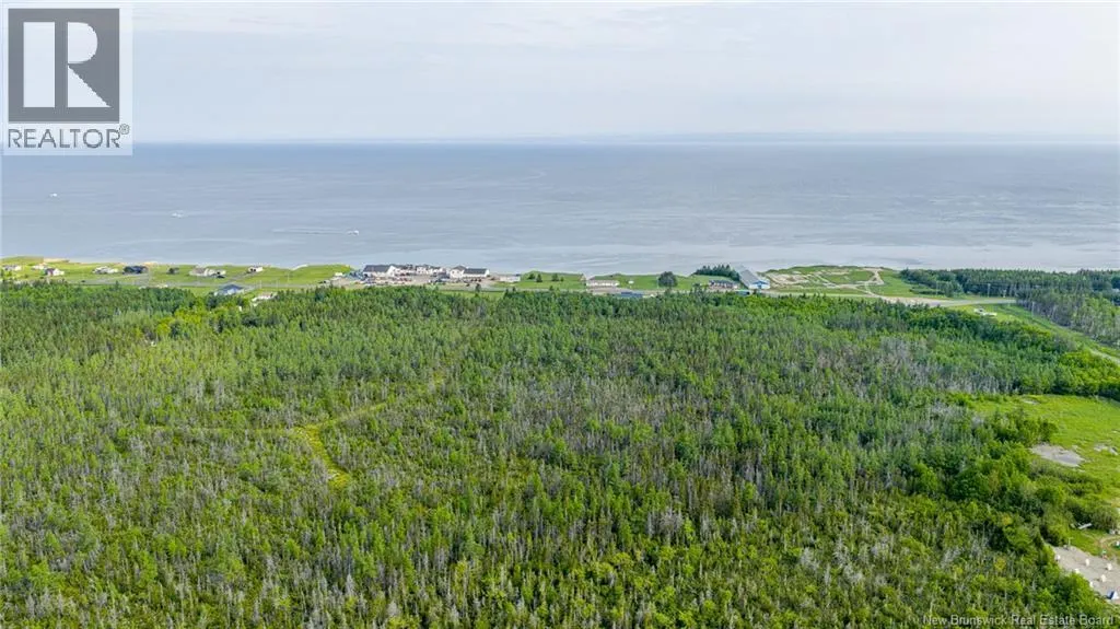 21.9acres rue Acadie