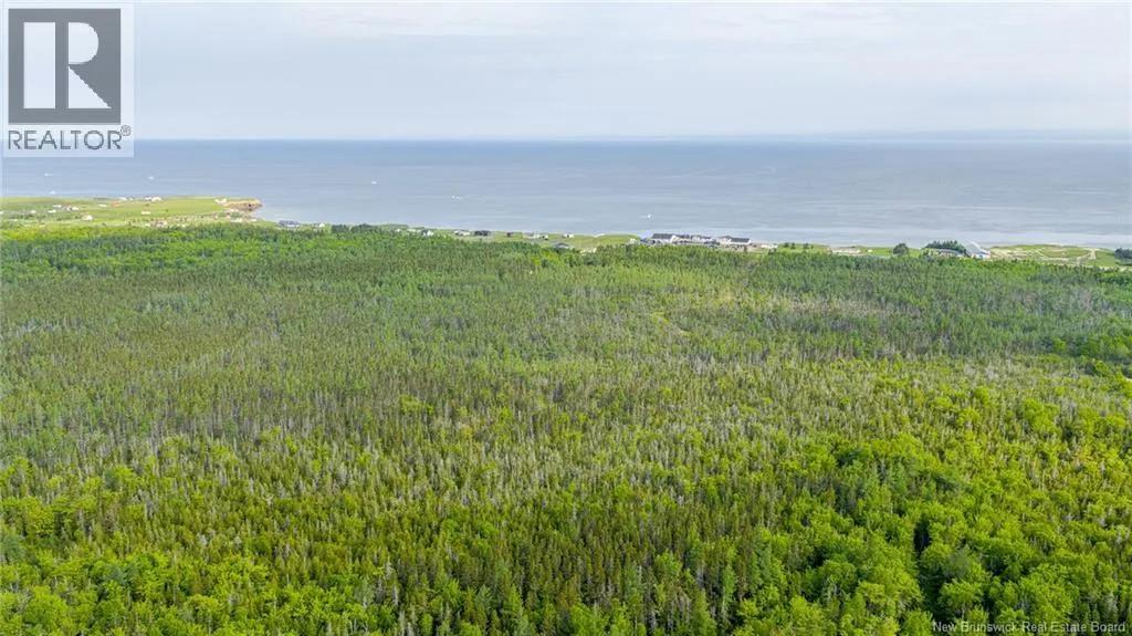 21.9acres rue Acadie