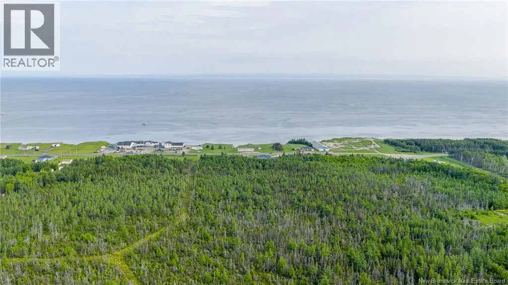 21.9acres rue Acadie