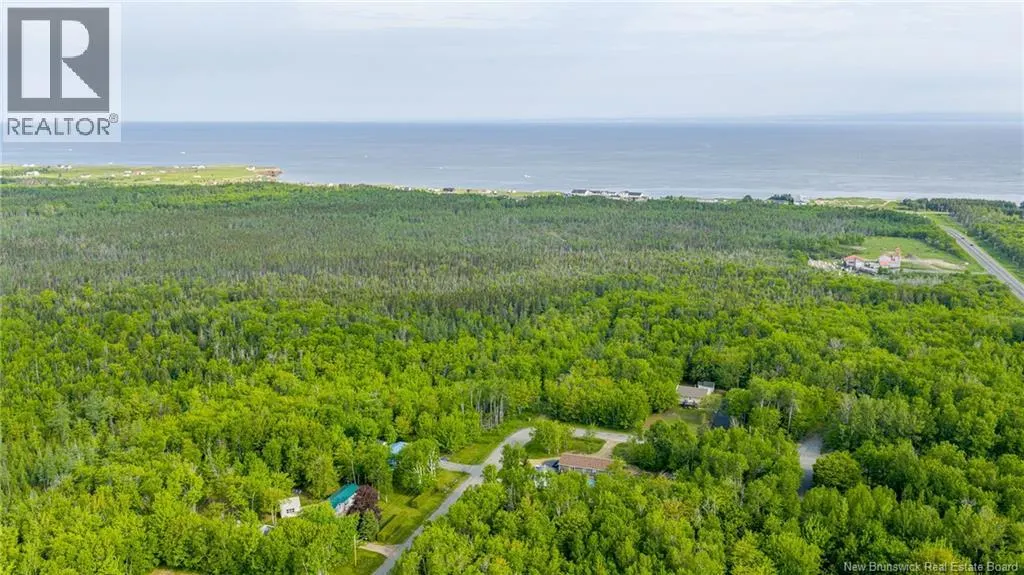 21.9acres rue Acadie