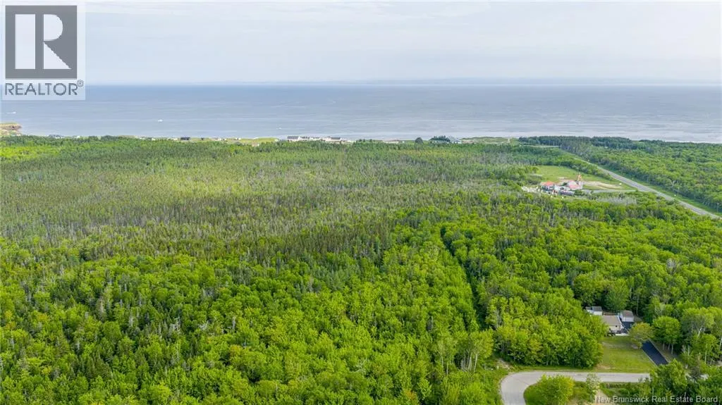 21.9acres rue Acadie
