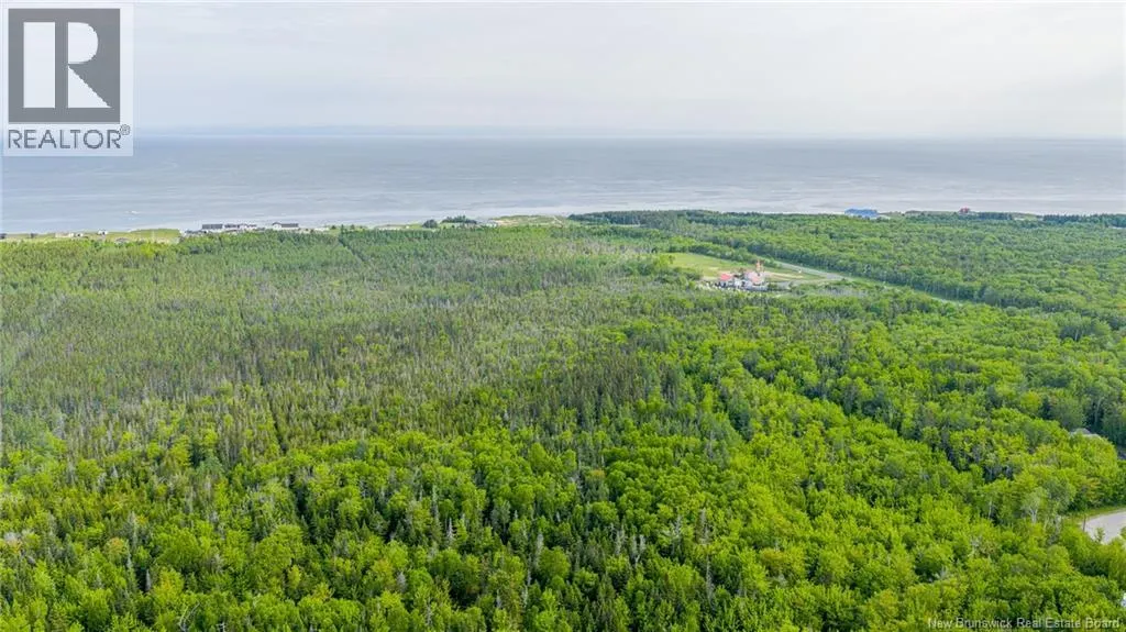 21.9acres rue Acadie
