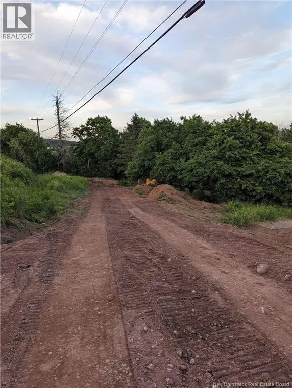 Roachville Road
