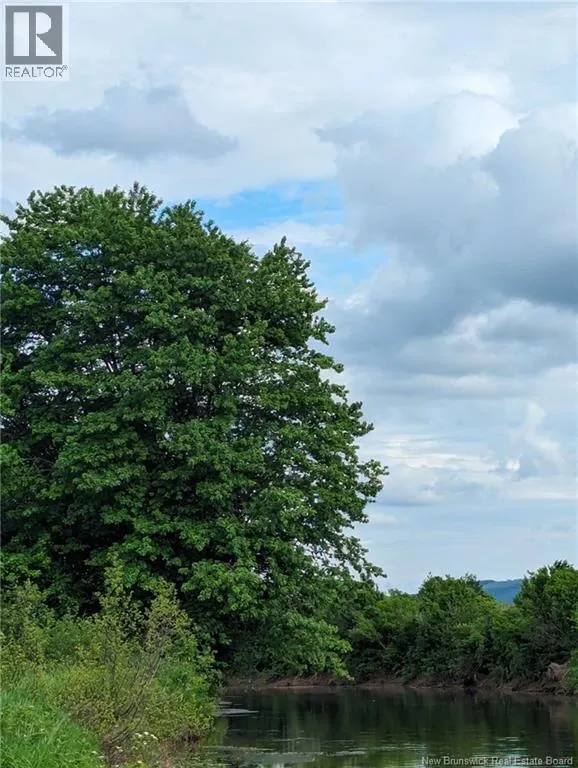 Roachville Road
