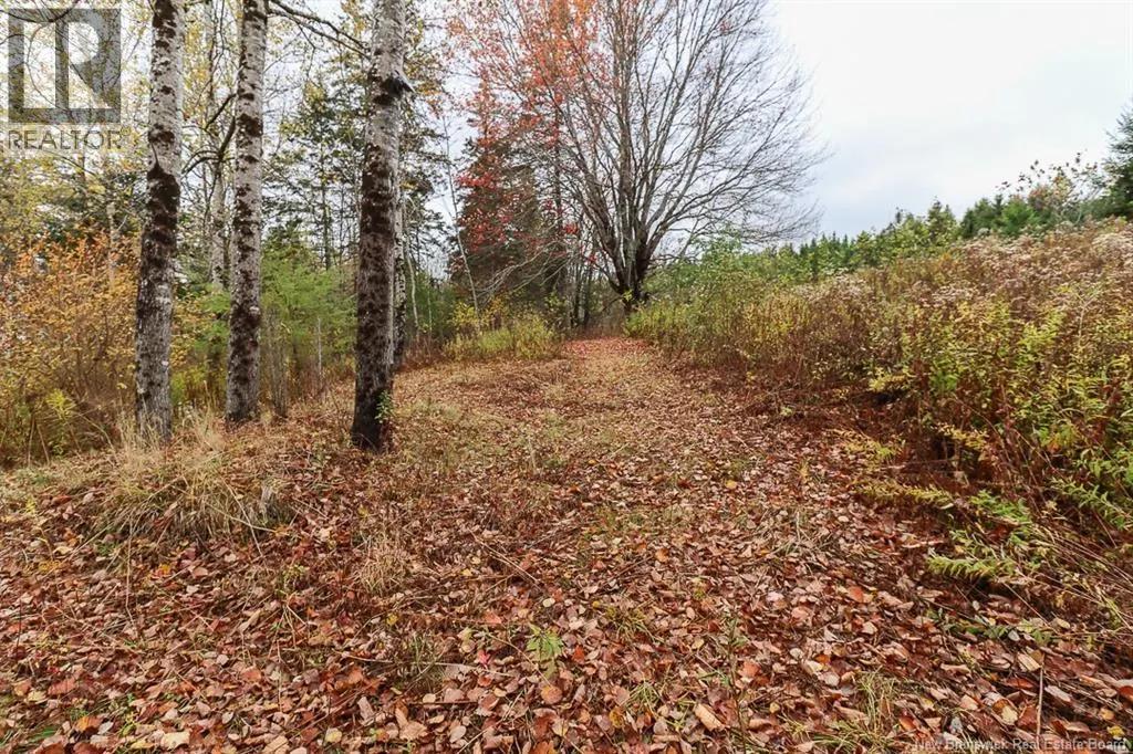 21 Kiersteadville Road