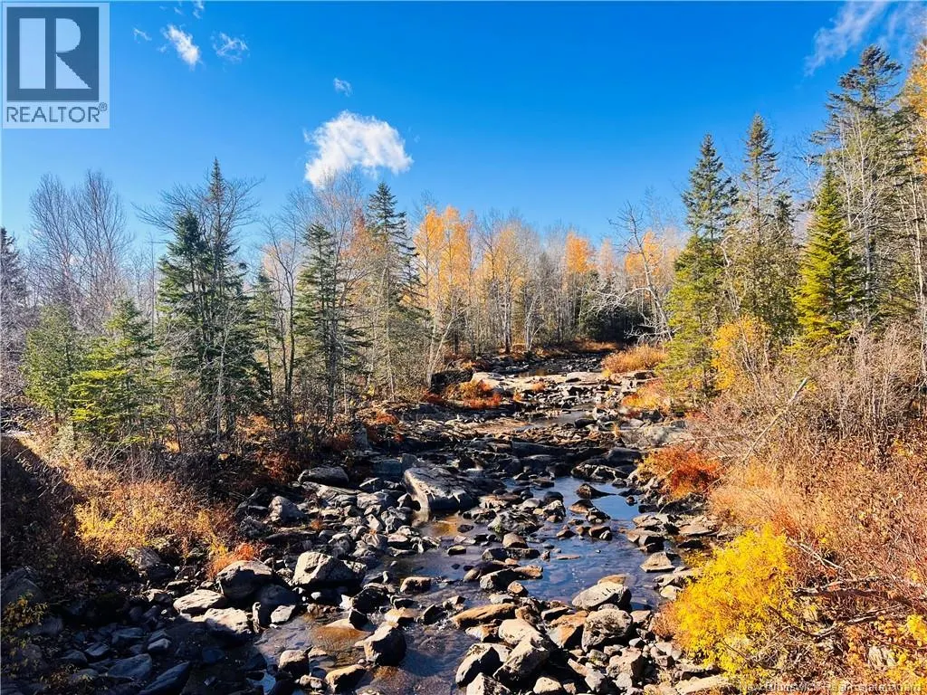 243 Acres Little River Road
