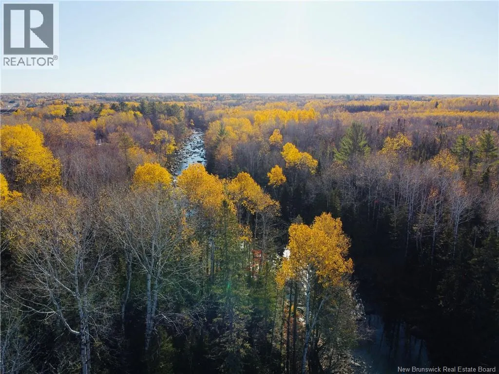 243 Acres Little River Road