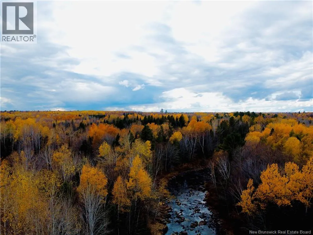243 Acres Little River Road