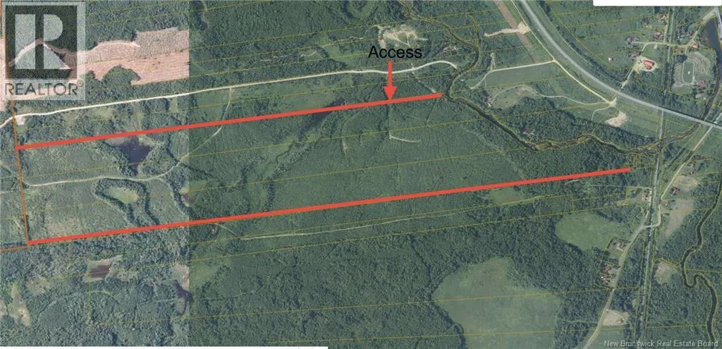 243 Acres Little River Road