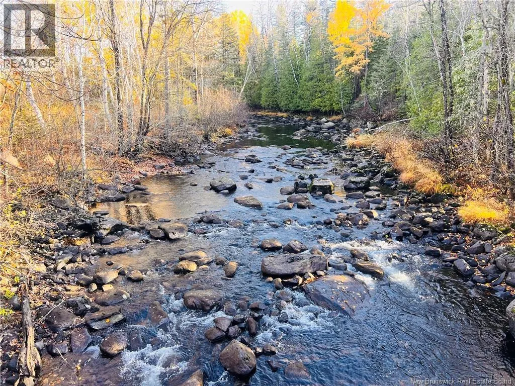 243 Acres Little River Road