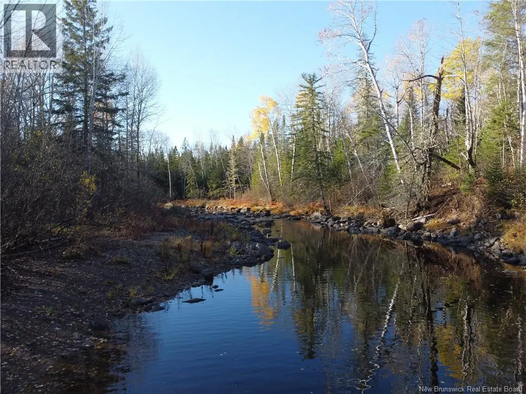 243 Acres Little River Road