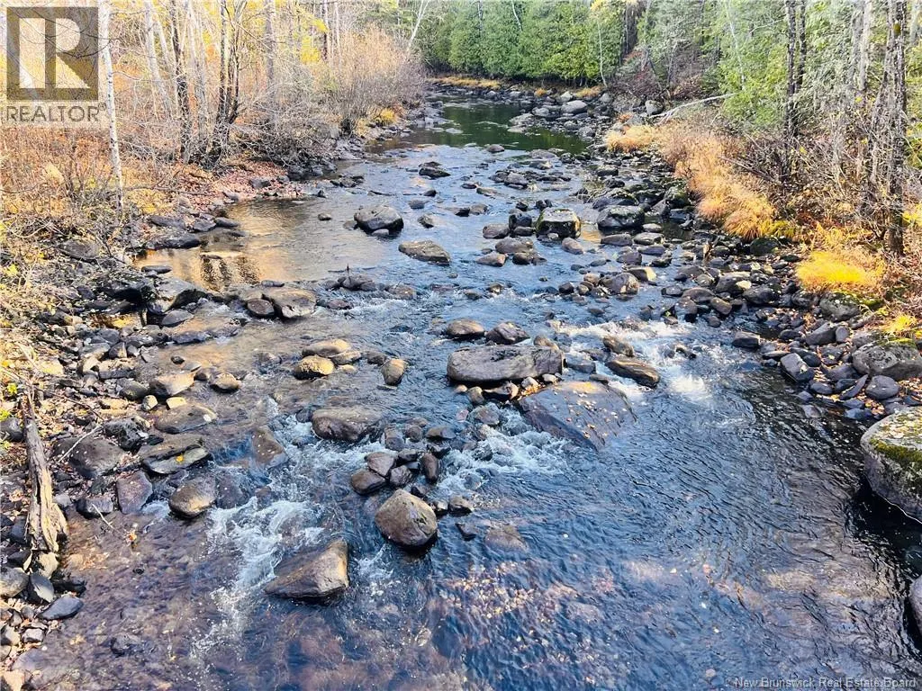 243 Acres Little River Road