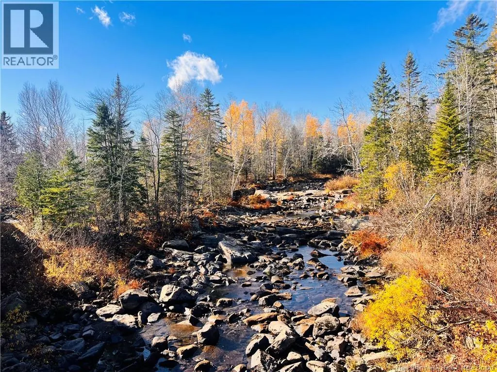 243 Acres Little River Road