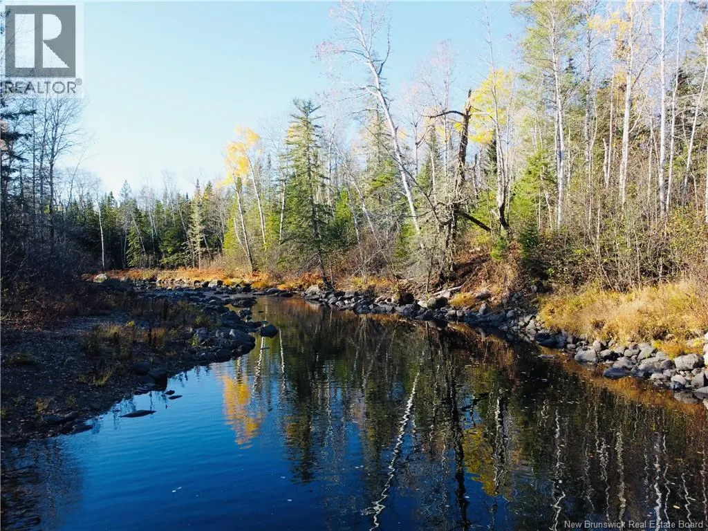243 Acres Little River Road