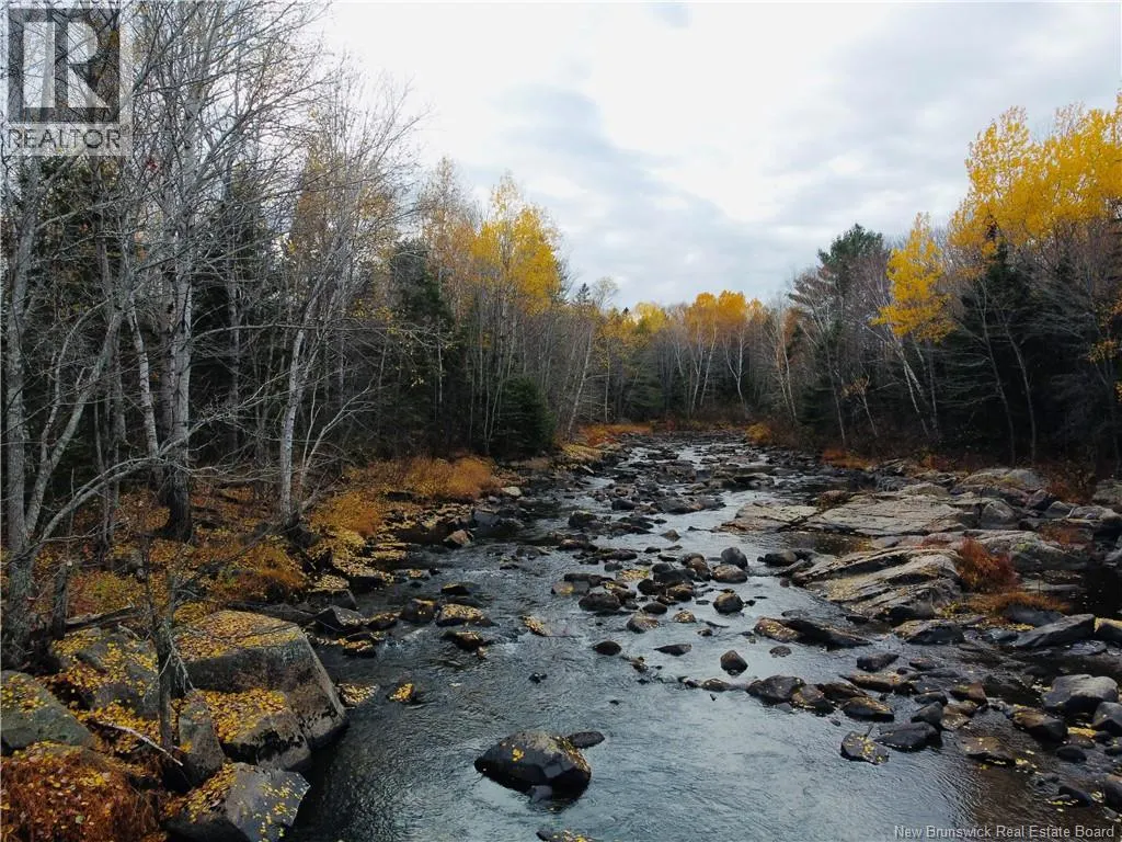 243 Acres Little River Road