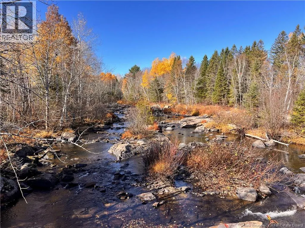 243 Acres Little River Road