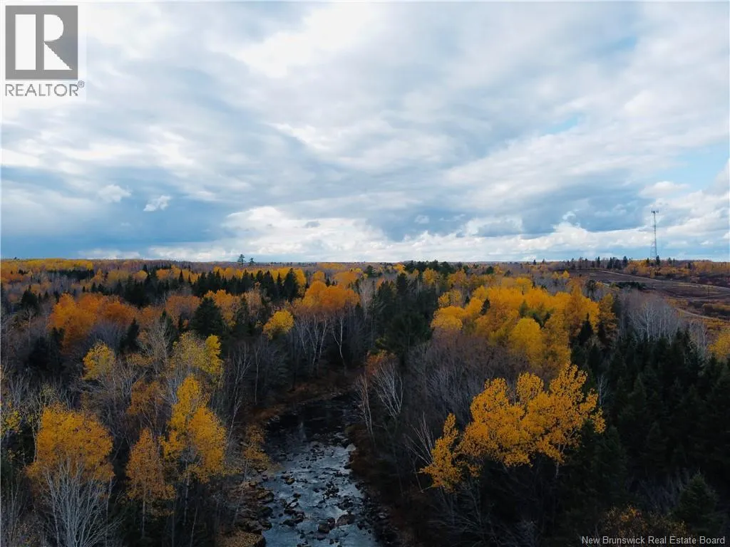 243 Acres Little River Road