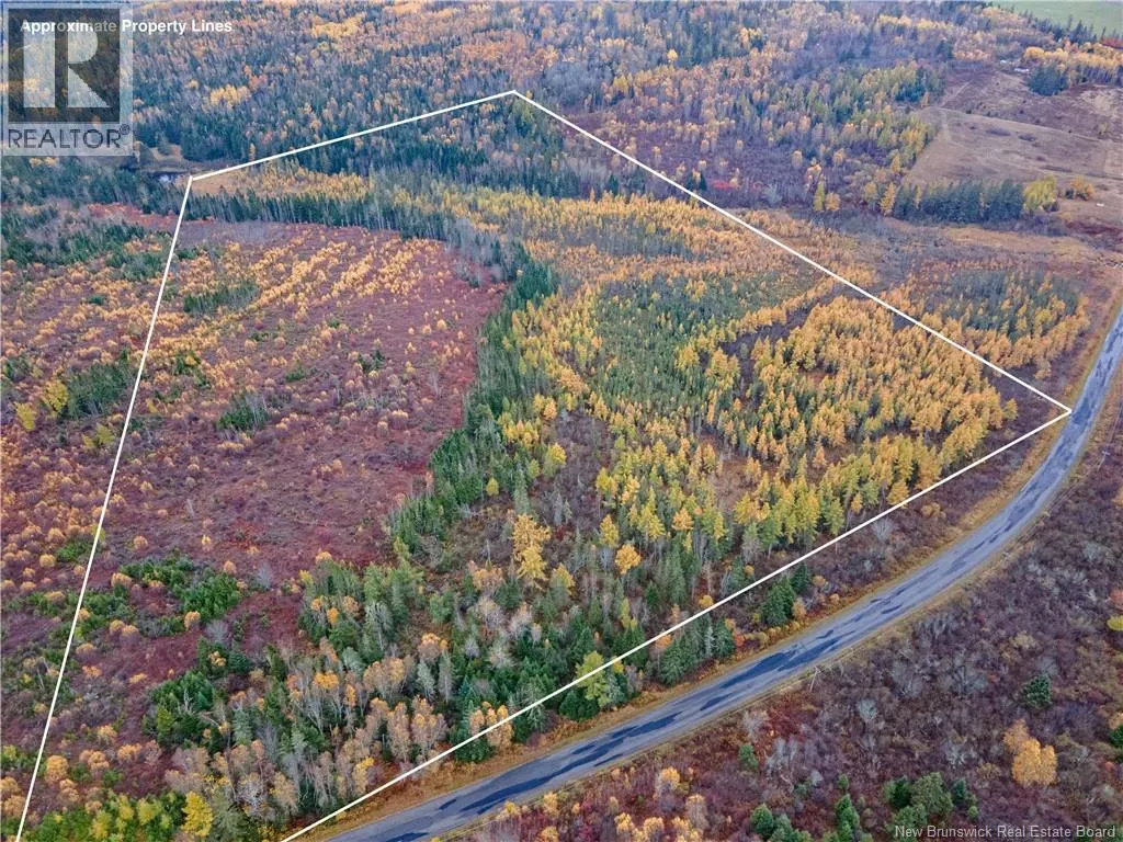 Lot Poodiac
