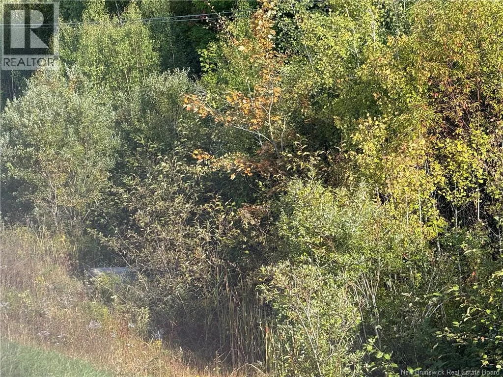 Vacant Lot Kouchibouguac Route 134