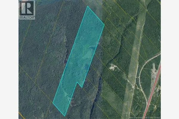 00 Timberland - Off King George HWY - Miramichi
