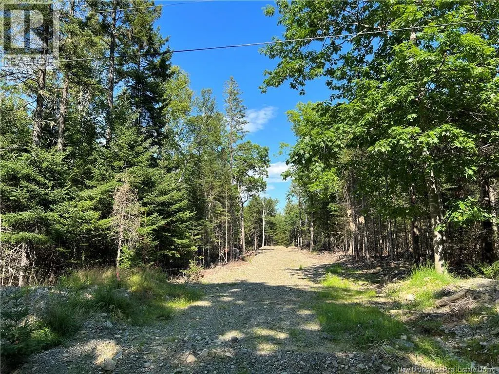 Hills Point Road