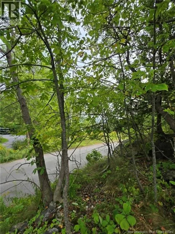 363 Highland Road