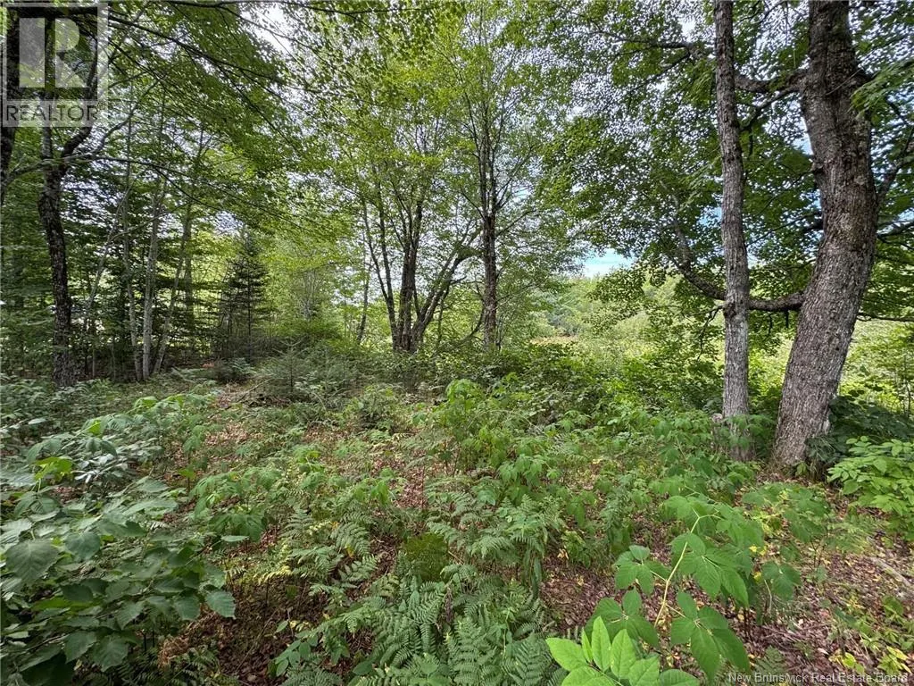 Vacant Lot 750 Route