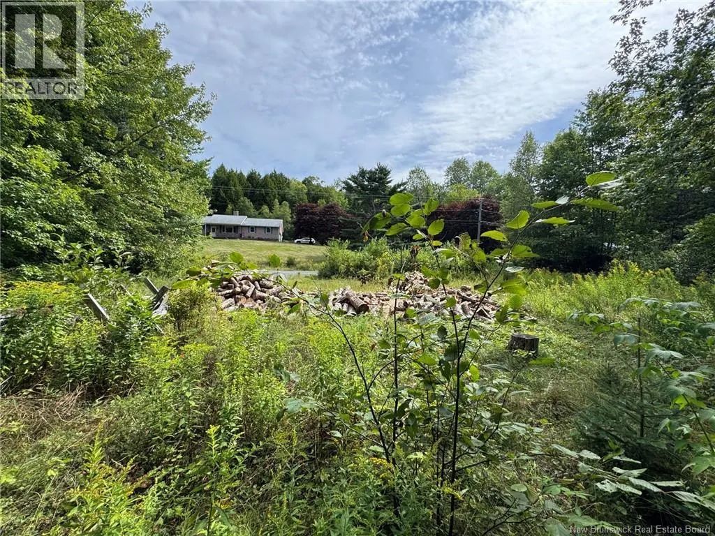 Vacant Lot 750 Route