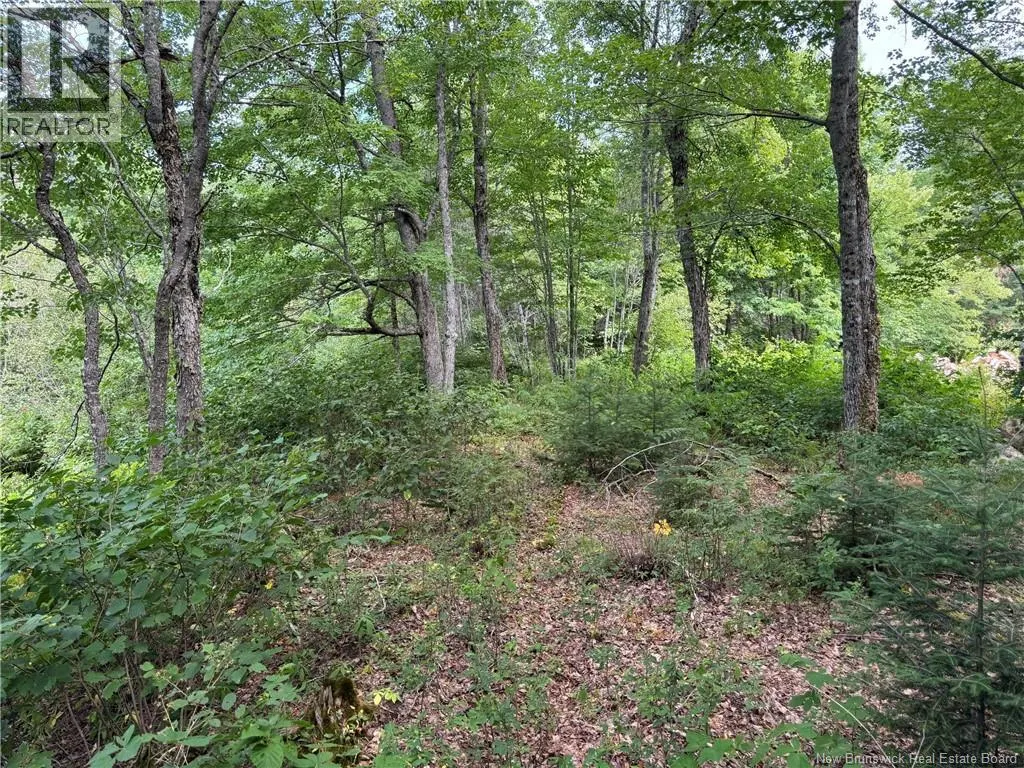 Vacant Lot 750 Route
