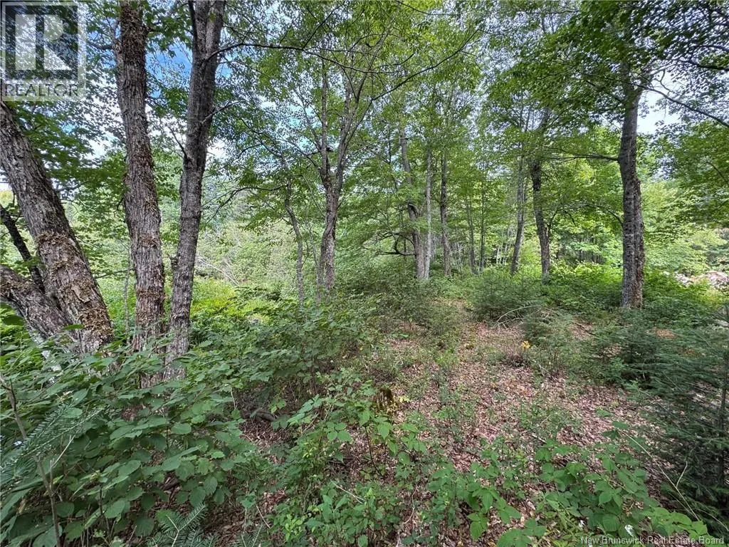 Vacant Lot 750 Route