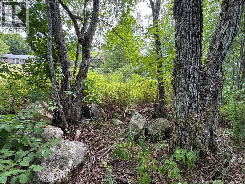 Vacant Lot 750 Route