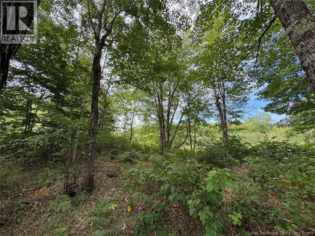 Vacant Lot 750 Route