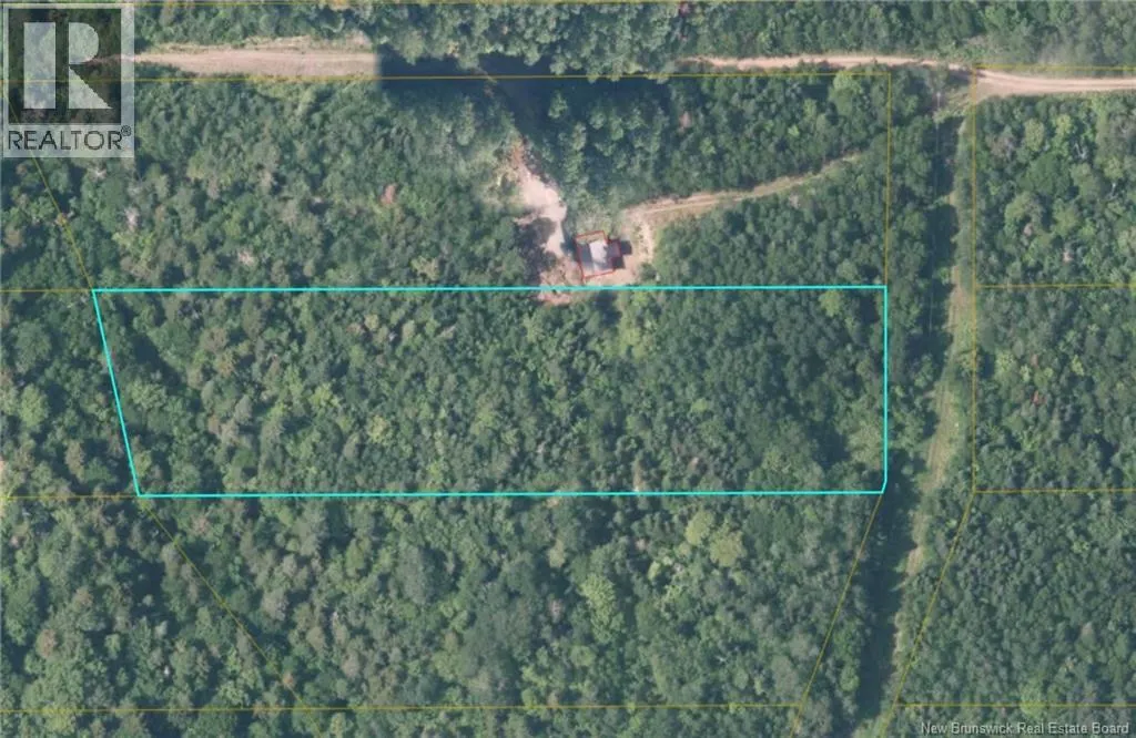 87-13 Birch Ridge Road