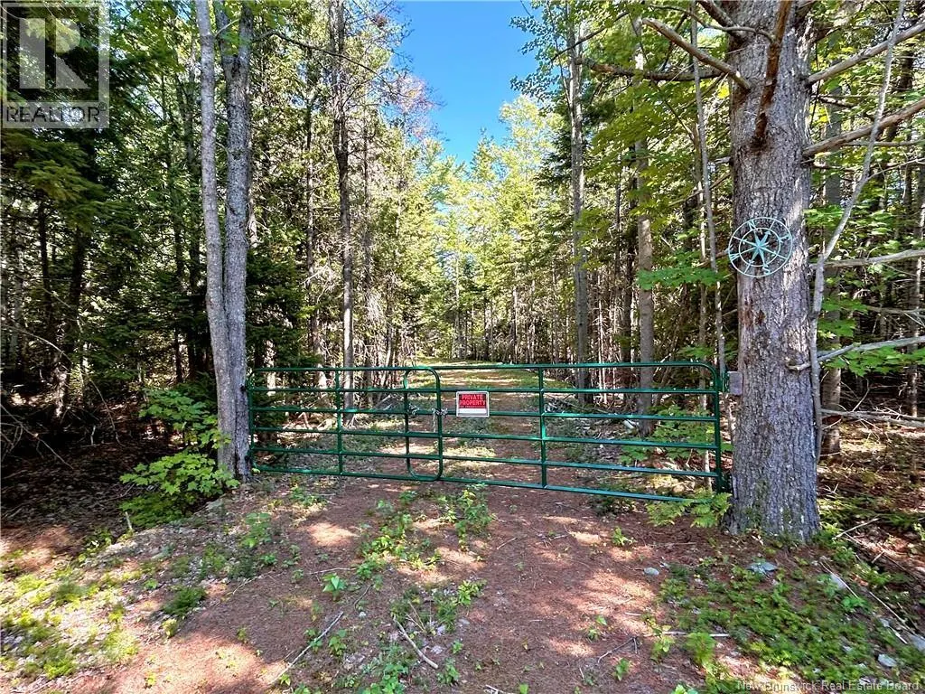 8.25 Acres Pointe au Sable Road