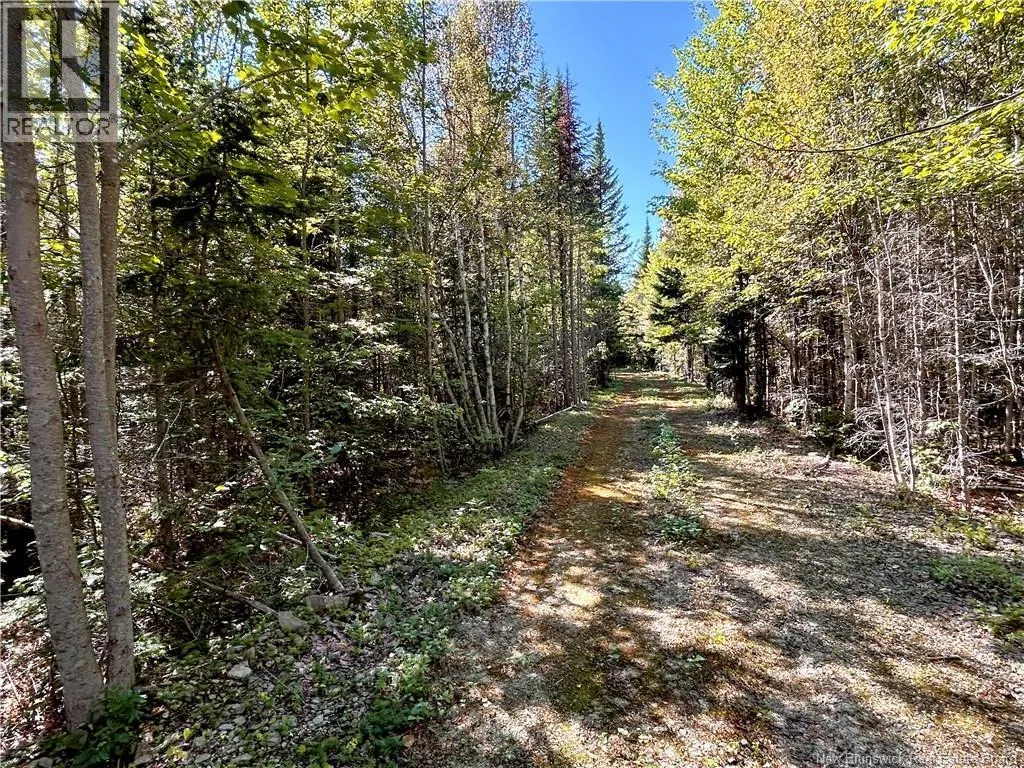 8.25 Acres Pointe au Sable Road