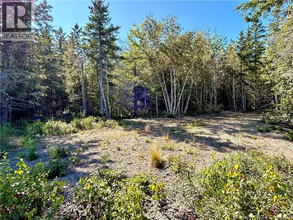 8.25 Acres Pointe au Sable Road