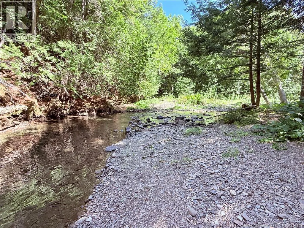 2206 Kintore Road