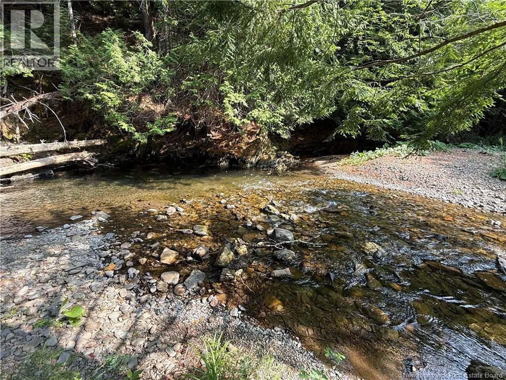 2206 Kintore Road
