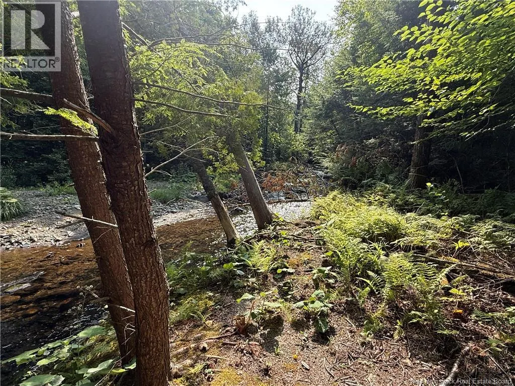 2206 Kintore Road