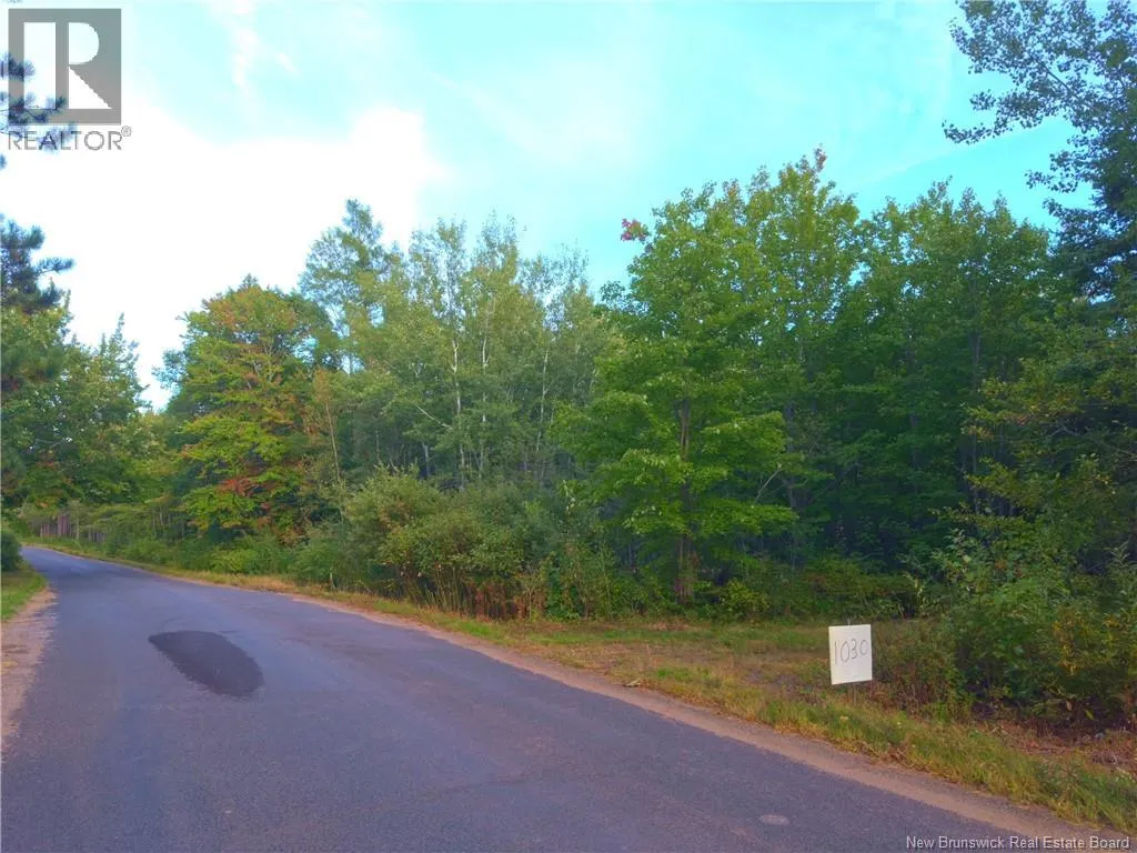 1030 Cox Point Road