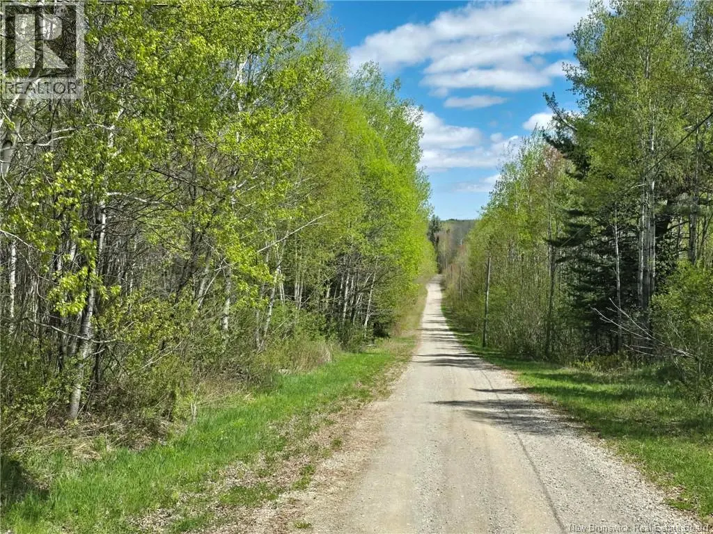 52 Shamrock Valley