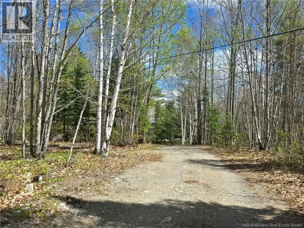 52 Shamrock Valley