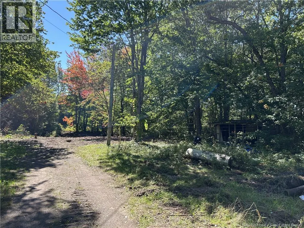 11 Dale Aubin Lane