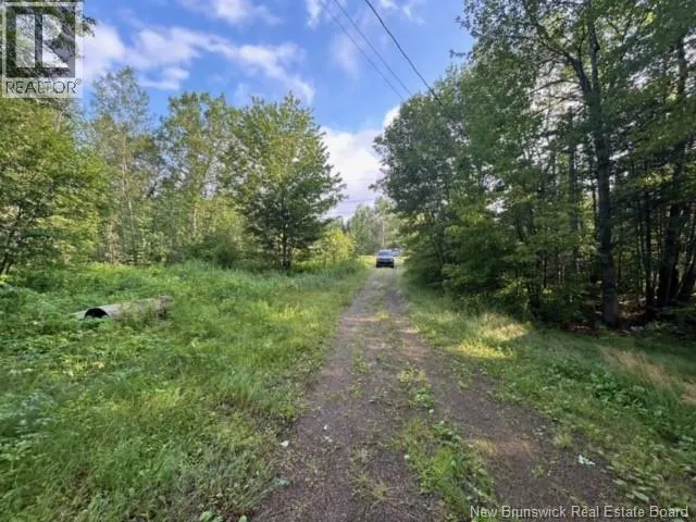 11 Dale Aubin Lane